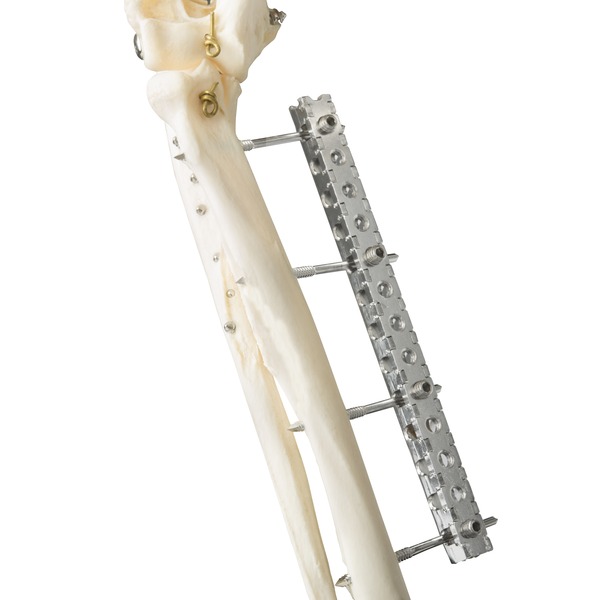 [DK]UFEG ESF indføringsrør, eksempel 2